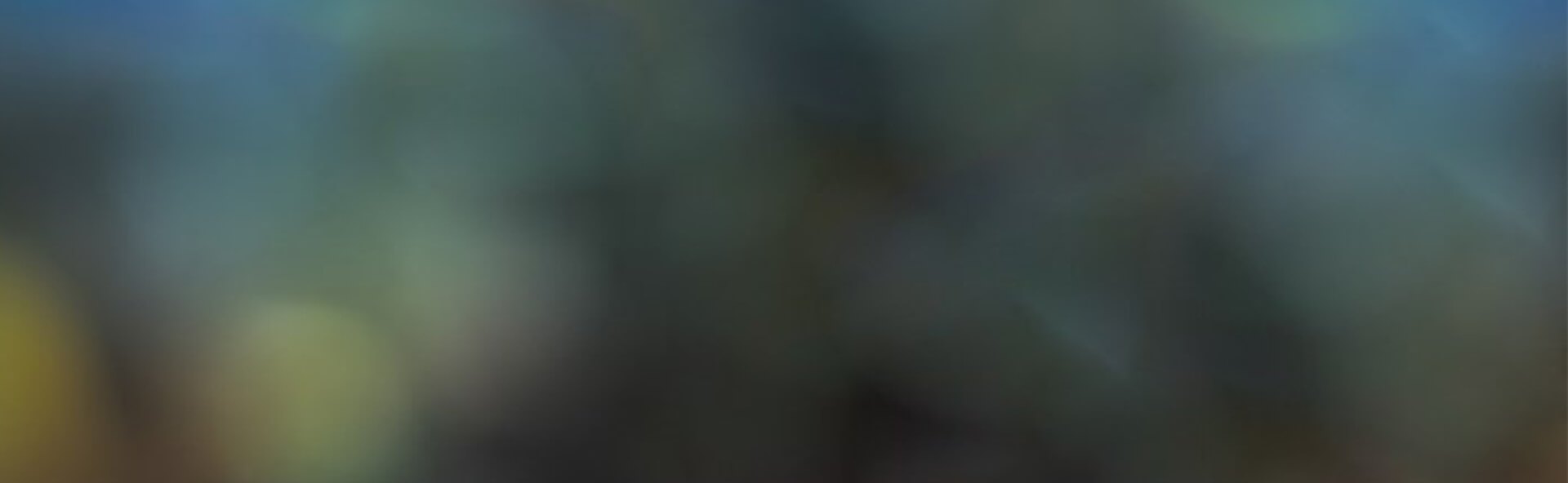 Privacy Policy Banner
